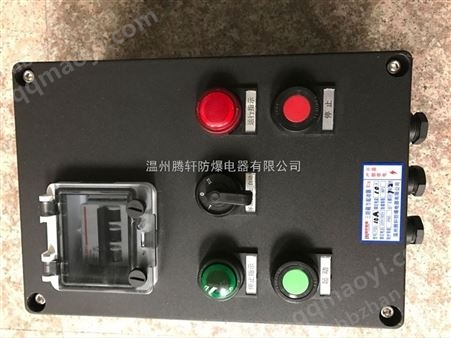 FKL52-32A/3P三防斷路器 三防開關(guān)箱